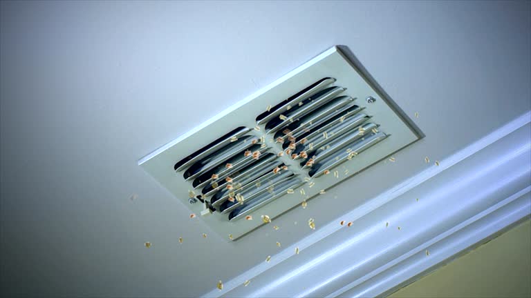 Best Home Air Vent Cleaning  in Clinton, LA
